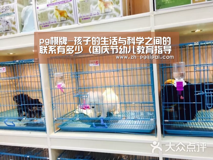 pg棋牌