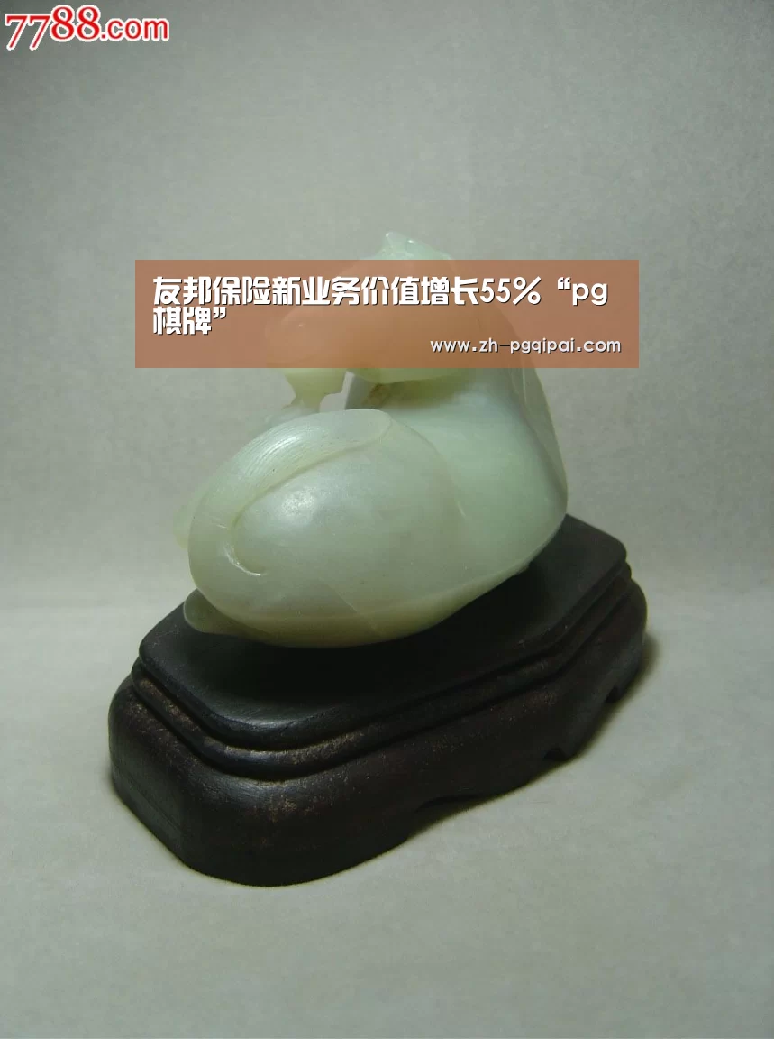 友邦保险新业务价值增长55%“pg棋牌”(图4) pg棋牌